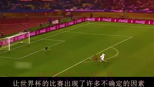 世界杯球队排名动态变化解析